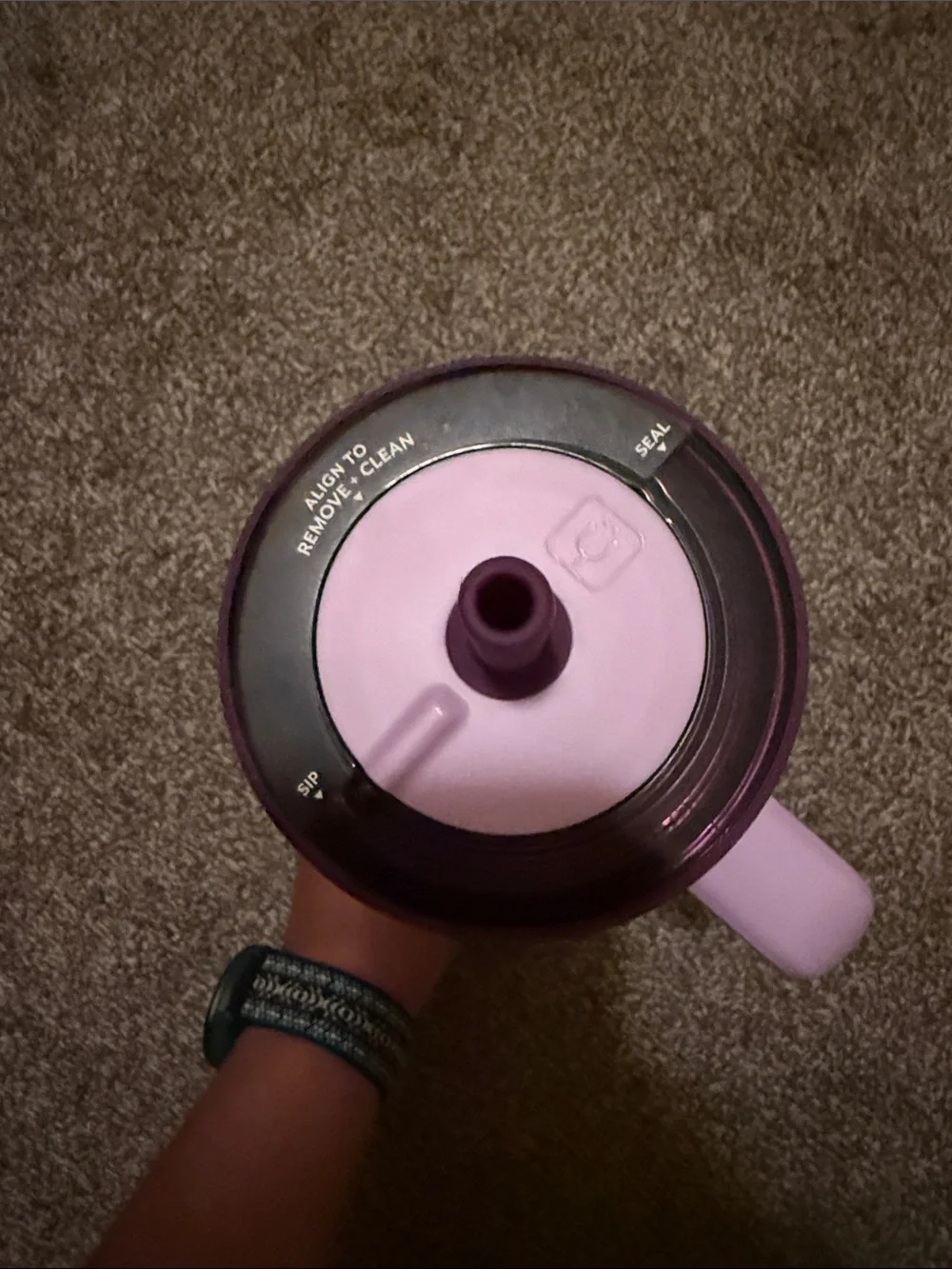 Violet crush Brumate